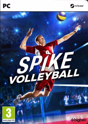 Fotografija izdelka Spike Volleyball (PC)