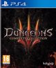 Fotografija izdelka Dungeons 3: Complete Collection (PS4)