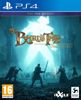 Fotografija izdelka The Bard's Tale IV: Director's Cut Day One Edition (PS4)