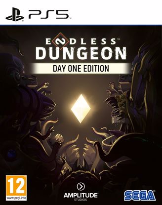 Fotografija izdelka Endless Dungeon - Day One Edition (Playstation 5)