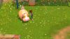 Fotografija izdelka My Universe: Green Adventure - Farmer Friends (Nintendo Switch)