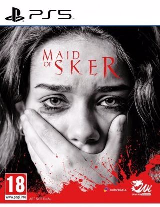 Fotografija izdelka Maid Of Sker (Playstation 5)