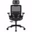 Fotografija izdelka COUGAR SPEEDER ONE Gaming chair, Black