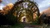 Fotografija izdelka A Plague Tale: Innocence (Xbox Series X)