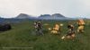 Fotografija izdelka Death Stranding (PS4)