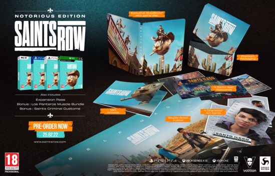 Fotografija izdelka Saints Row - Notorious Edition (PC)