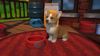 Fotografija izdelka Little Friends: Puppy Island (Nintendo Switch)