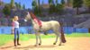 Fotografija izdelka Barbie: Horse Trails (Playstation 4)