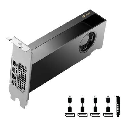 Fotografija izdelka Grafična kartica PNY Nvidia RTX 2000 ADA 16GB GDDR6 PCI-E 4.0