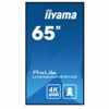 Fotografija izdelka IIYAMA ProLite LH6560UHS-B1AG 64,5" (164cm) 24/7 UHD VA HDMI informacijski zaslon